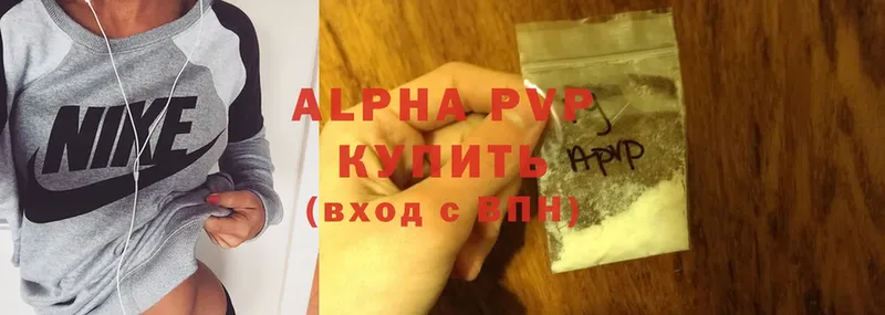 Alfa_PVP СК Каргополь